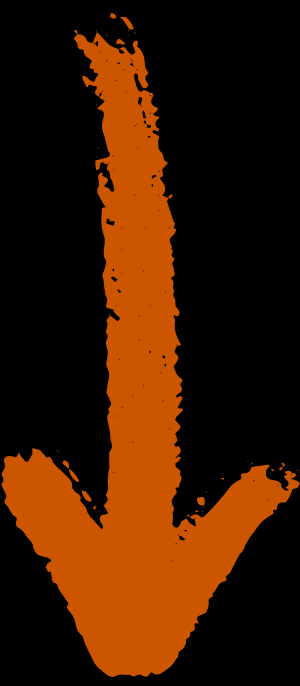 copy of untitled design